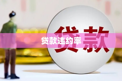 囊谦贷款违约率