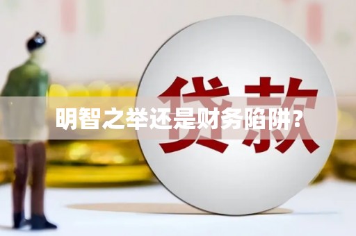 囊谦明智之举还是财务陷阱？