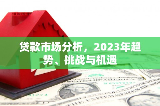 囊谦贷款市场分析，2023年趋势、挑战与机遇