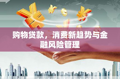 囊谦购物贷款，消费新趋势与金融风险管理