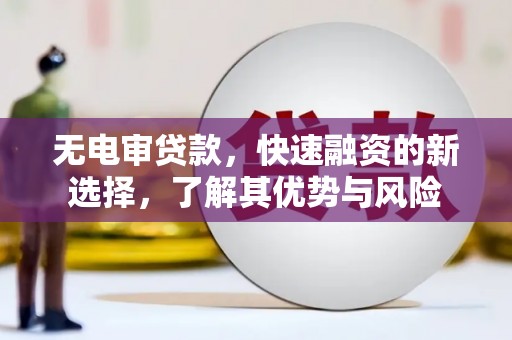 囊谦无电审贷款，快速融资的新选择，了解其优势与风险