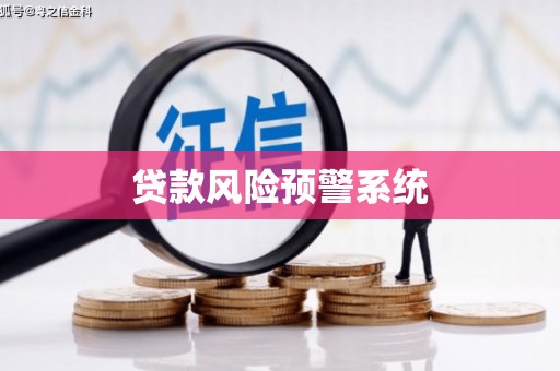 囊谦贷款风险预警系统