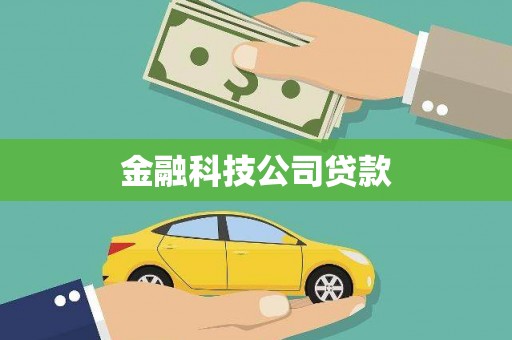 囊谦金融科技公司贷款