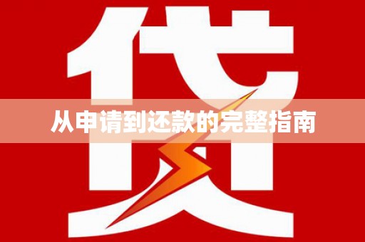囊谦从申请到还款的完整指南