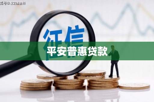囊谦平安普惠贷款