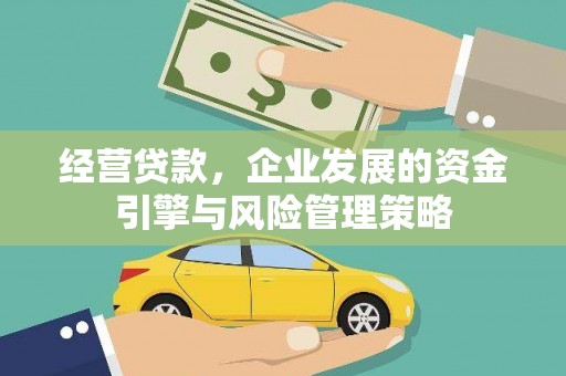 囊谦经营贷款，企业发展的资金引擎与风险管理策略