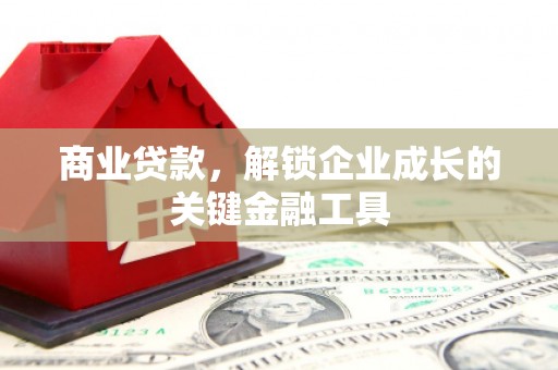 囊谦商业贷款，解锁企业成长的关键金融工具