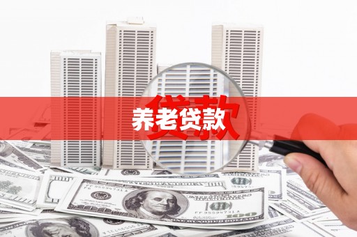 囊谦养老贷款