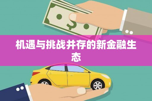 囊谦机遇与挑战并存的新金融生态