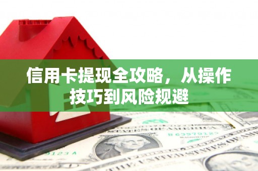 囊谦信用卡提现全攻略，从操作技巧到风险规避