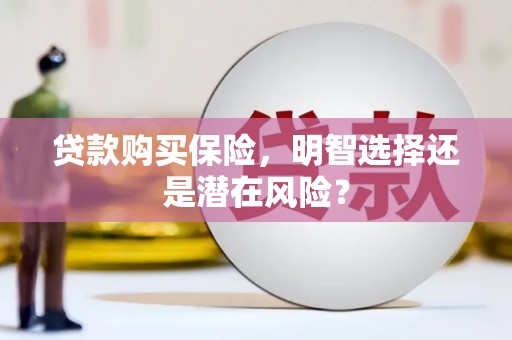囊谦贷款购买保险，明智选择还是潜在风险？