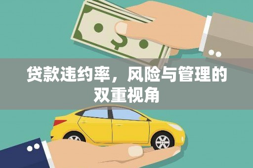 囊谦贷款违约率，风险与管理的双重视角