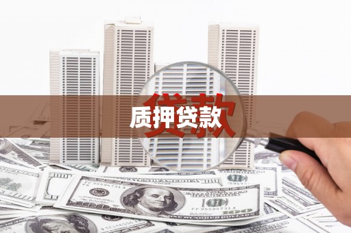 囊谦质押贷款