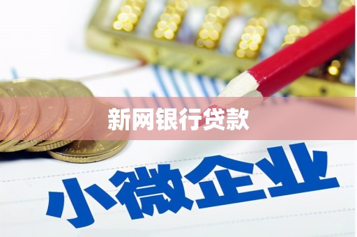 囊谦新网银行贷款