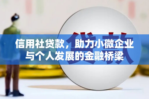 囊谦信用社贷款，助力小微企业与个人发展的金融桥梁