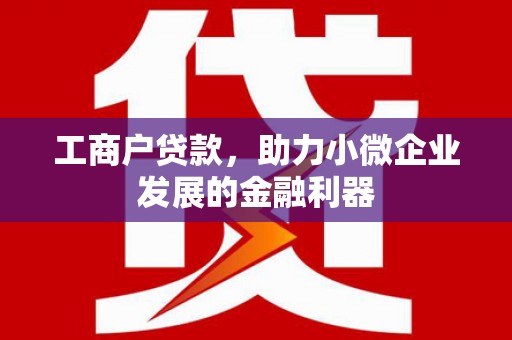 囊谦工商户贷款，助力小微企业发展的金融利器