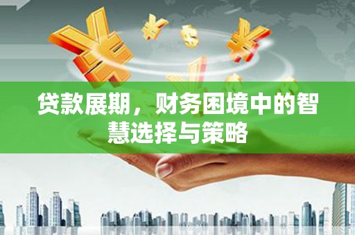 囊谦贷款展期，财务困境中的智慧选择与策略