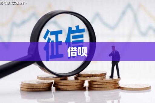 囊谦借呗