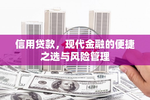 囊谦信用贷款，现代金融的便捷之选与风险管理