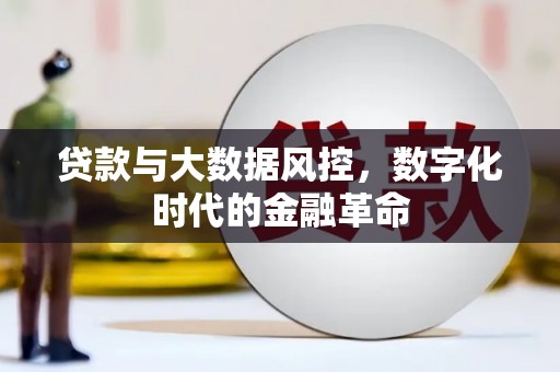 囊谦贷款与大数据风控，数字化时代的金融革命