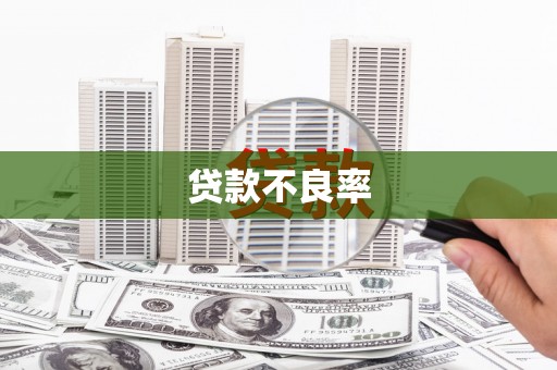 囊谦贷款不良率