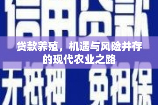囊谦贷款养殖，机遇与风险并存的现代农业之路