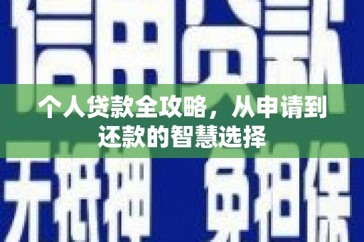 囊谦个人贷款全攻略，从申请到还款的智慧选择