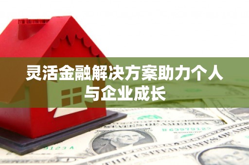 囊谦灵活金融解决方案助力个人与企业成长