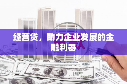 囊谦经营贷，助力企业发展的金融利器