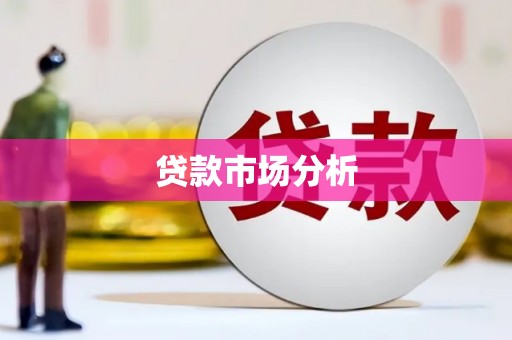 囊谦贷款市场分析