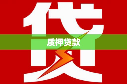 囊谦质押贷款