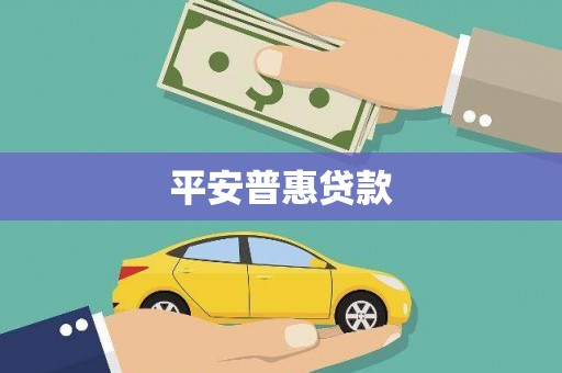 囊谦平安普惠贷款