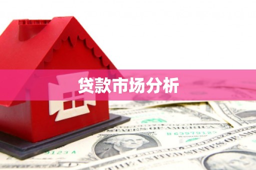 囊谦贷款市场分析