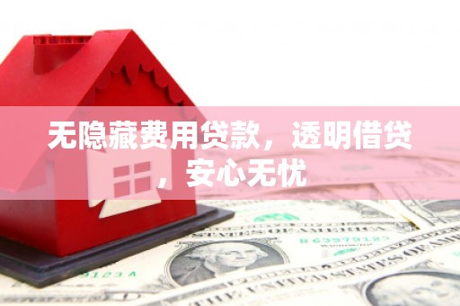 囊谦无隐藏费用贷款，透明借贷，安心无忧