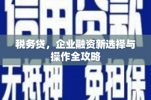 囊谦税务贷，企业融资新选择与操作全攻略