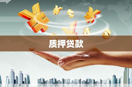 囊谦质押贷款