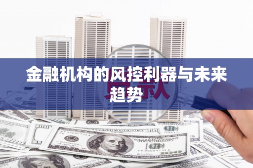 囊谦金融机构的风控利器与未来趋势