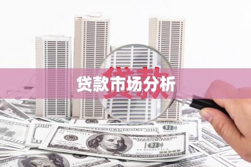 囊谦贷款市场分析