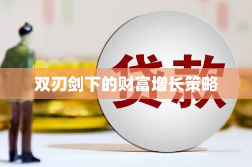 囊谦双刃剑下的财富增长策略