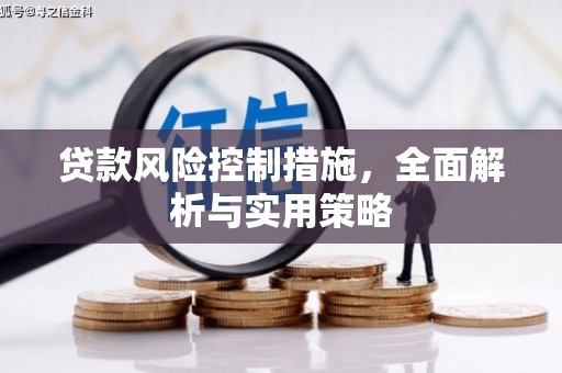 囊谦贷款风险控制措施，全面解析与实用策略