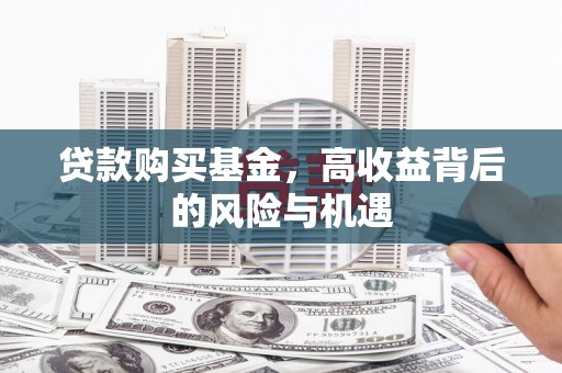 囊谦贷款购买基金，高收益背后的风险与机遇