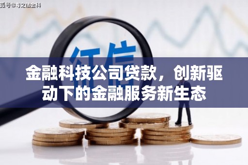 囊谦金融科技公司贷款，创新驱动下的金融服务新生态