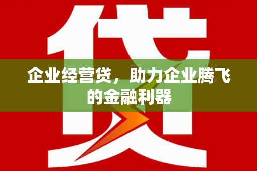 囊谦企业经营贷，助力企业腾飞的金融利器