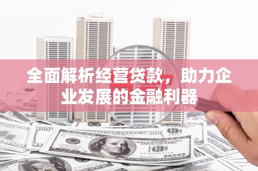 囊谦全面解析经营贷款，助力企业发展的金融利器