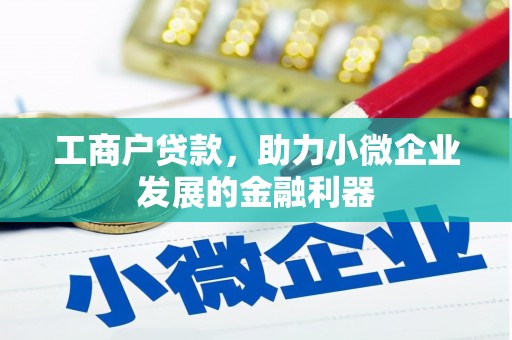 囊谦工商户贷款，助力小微企业发展的金融利器