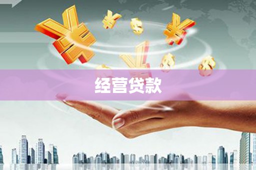 囊谦经营贷款