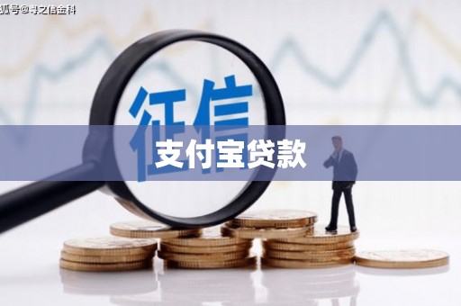 囊谦支付宝贷款