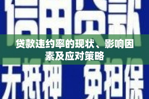 囊谦贷款违约率的现状、影响因素及应对策略