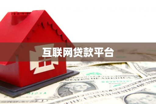 囊谦互联网贷款平台