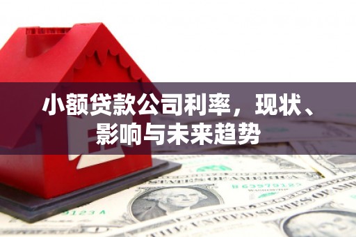 囊谦小额贷款公司利率，现状、影响与未来趋势